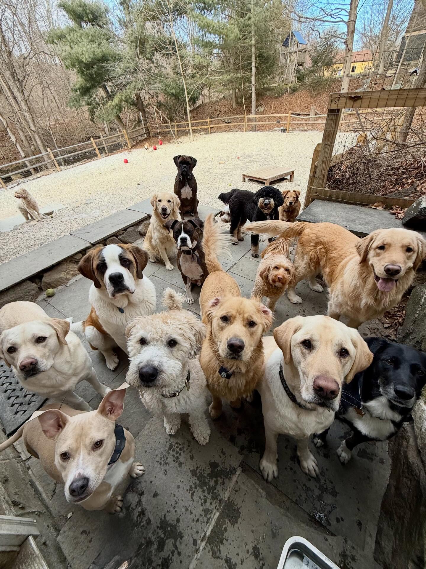 A happy playgroup crew